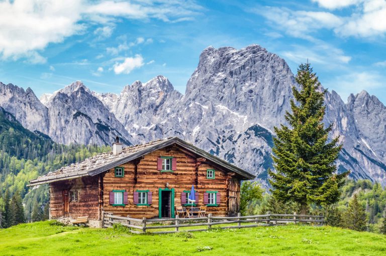 Read more about the article Le Campagnard